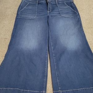 Torrid wide leg jeans 24 R